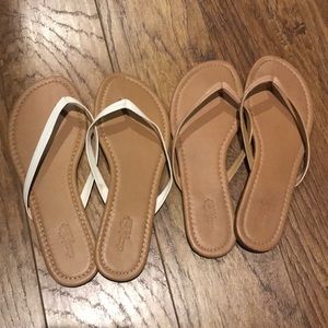 Charlotte Russe flip flops